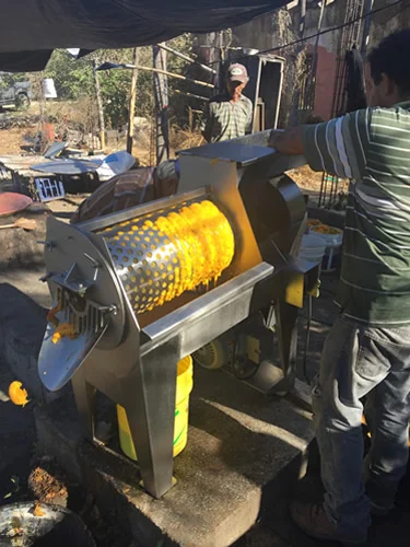 6-Mango_Wine_Press.jpg