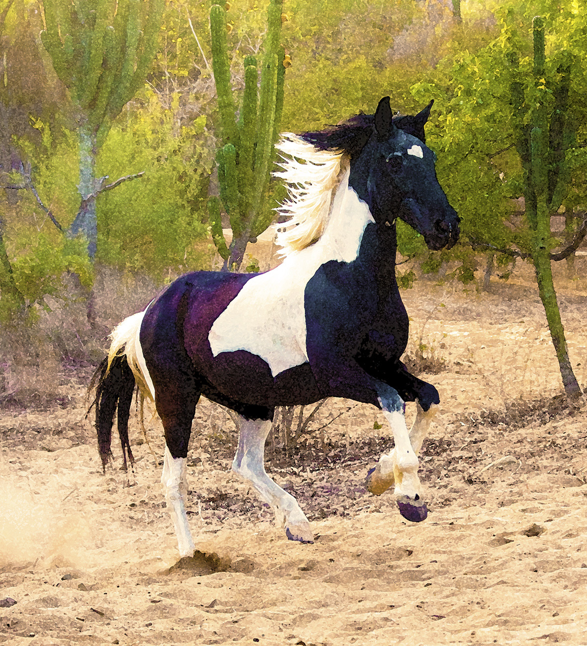 24-horse.jpg