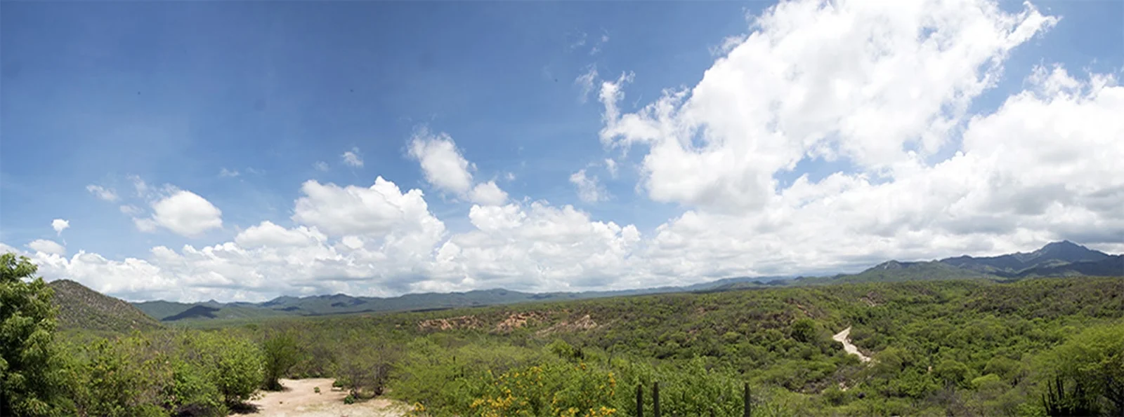 hiking_trail.jpg