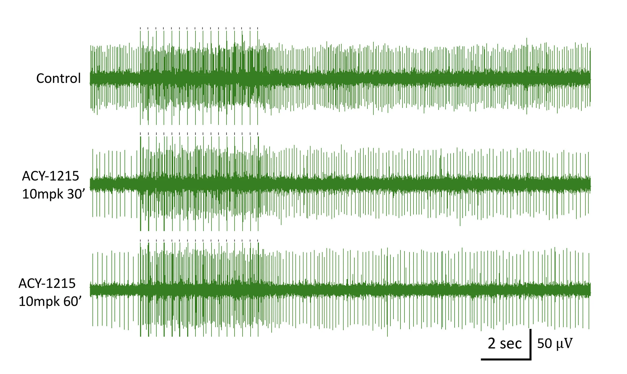 green-waves.jpg