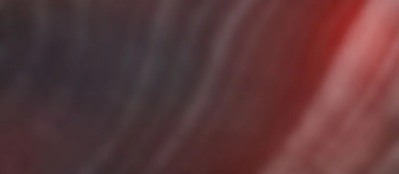 focus.jpg