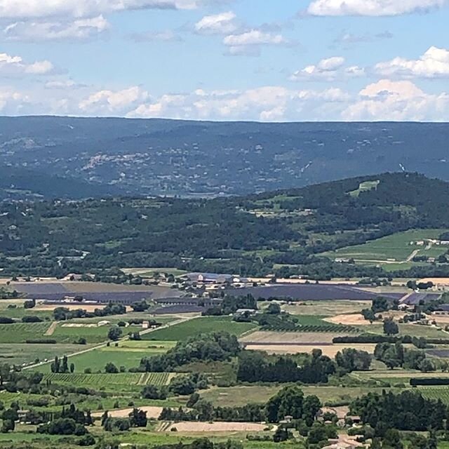 Can you see the fields of lavender below us in the valley, large patches of what appeared to be dormant landscape have exploded with color and fragrance ! #lavenderinprovence  #lavender #luberon #luberonlavender #heavenlyfragrance