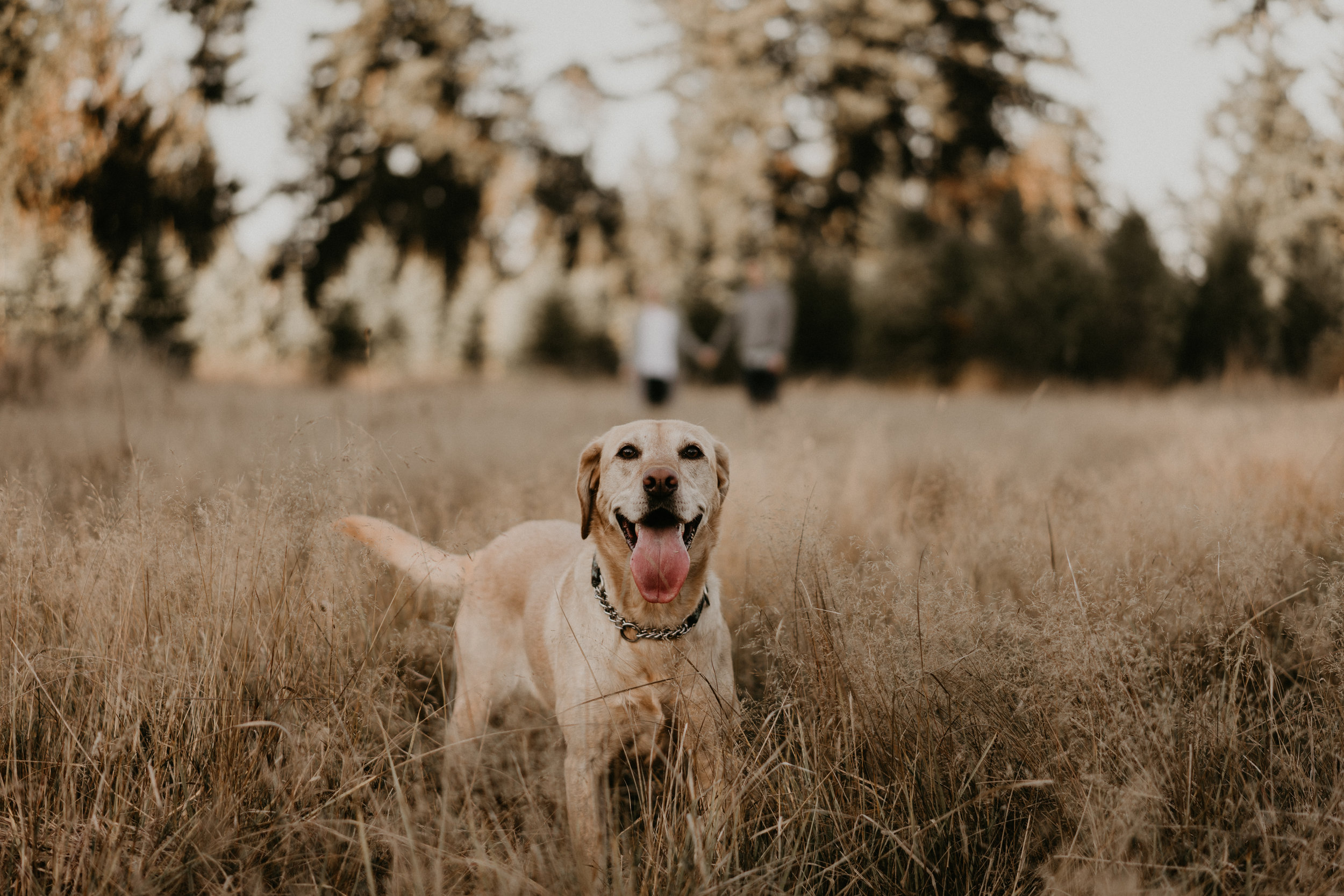 Kat+Daniel_Engagement-52.jpg