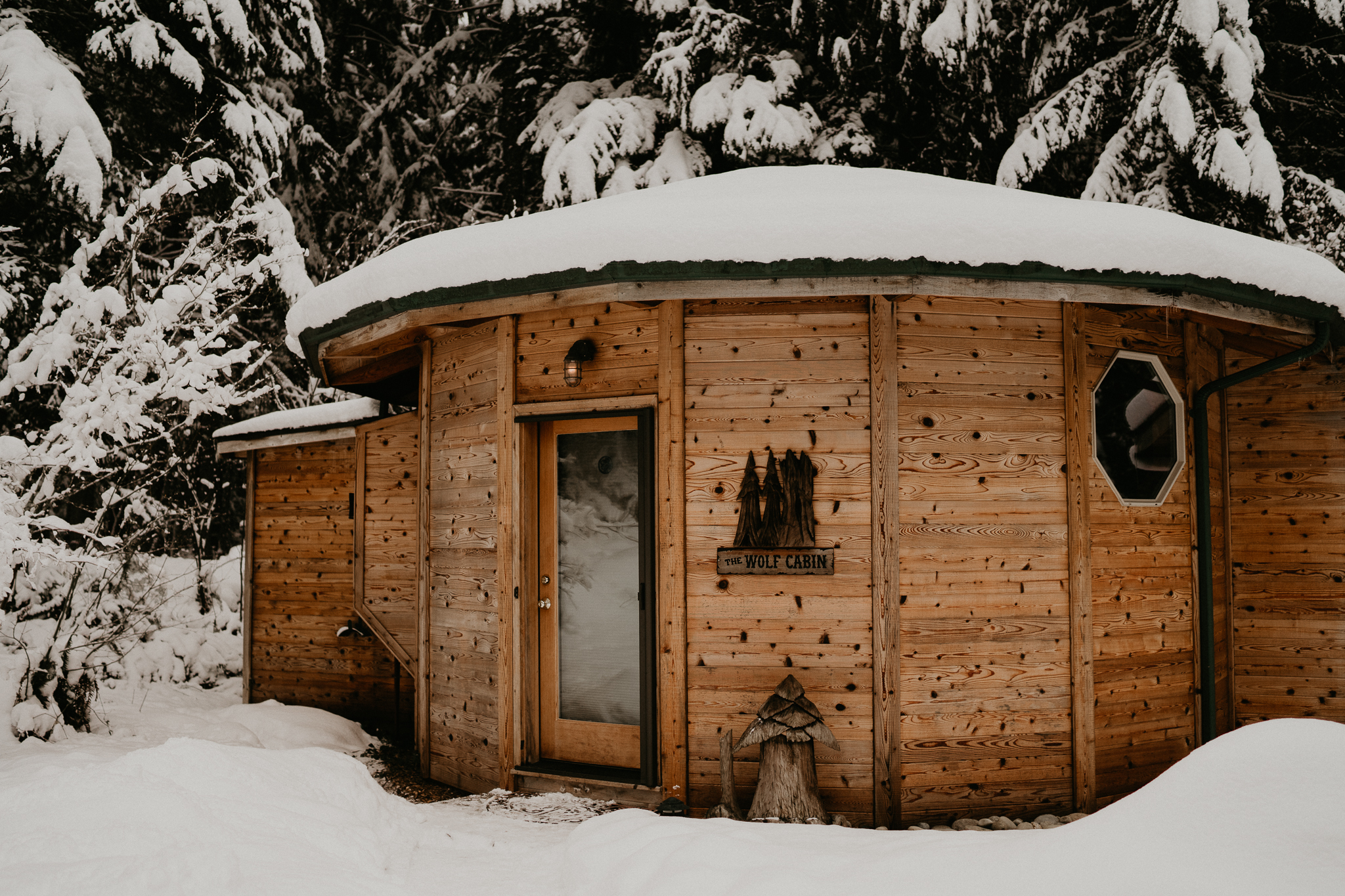 Snow Elopement Mount Rainier National Park