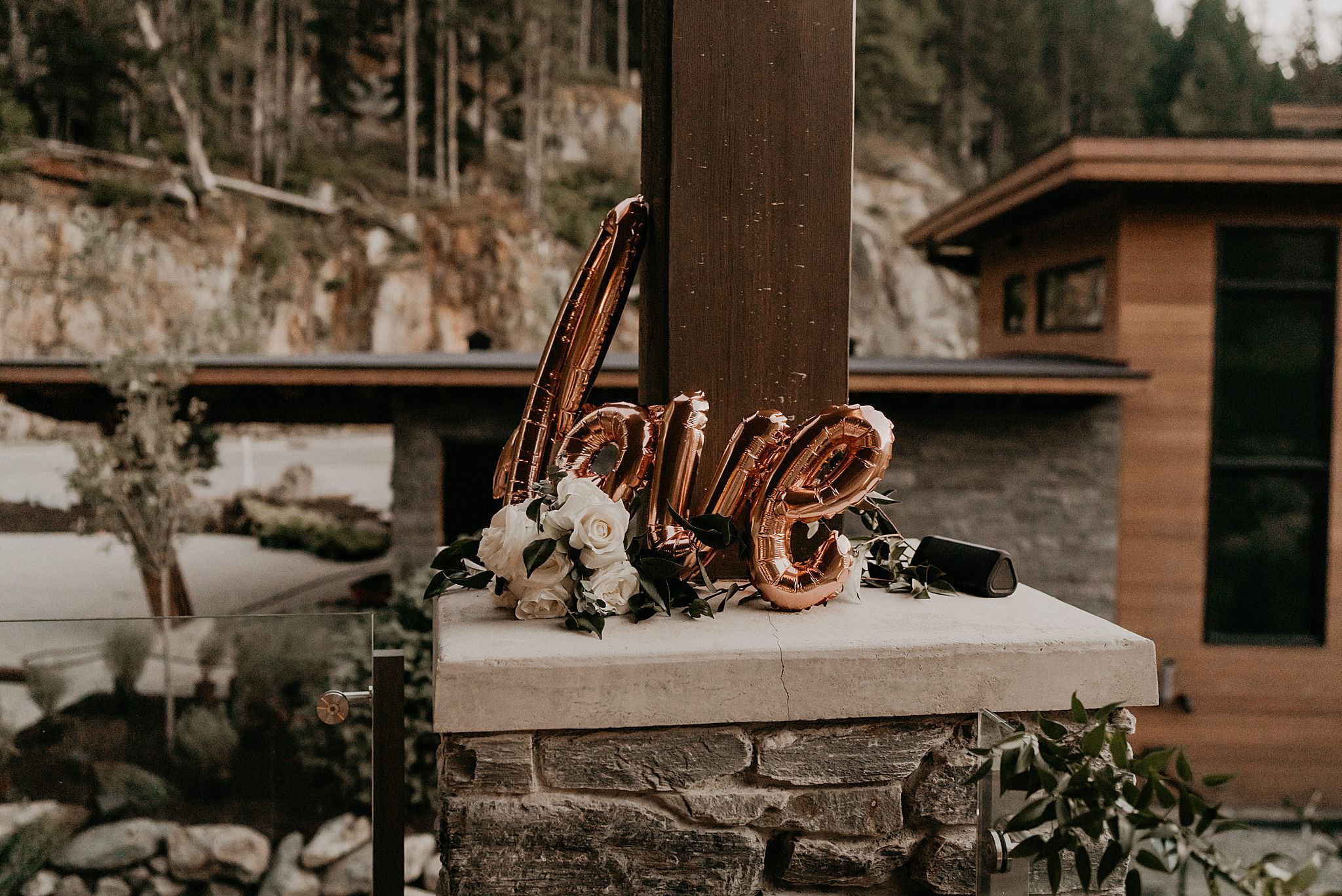 whistler-mountain-helicopter-elopement-wedding_0171.jpg