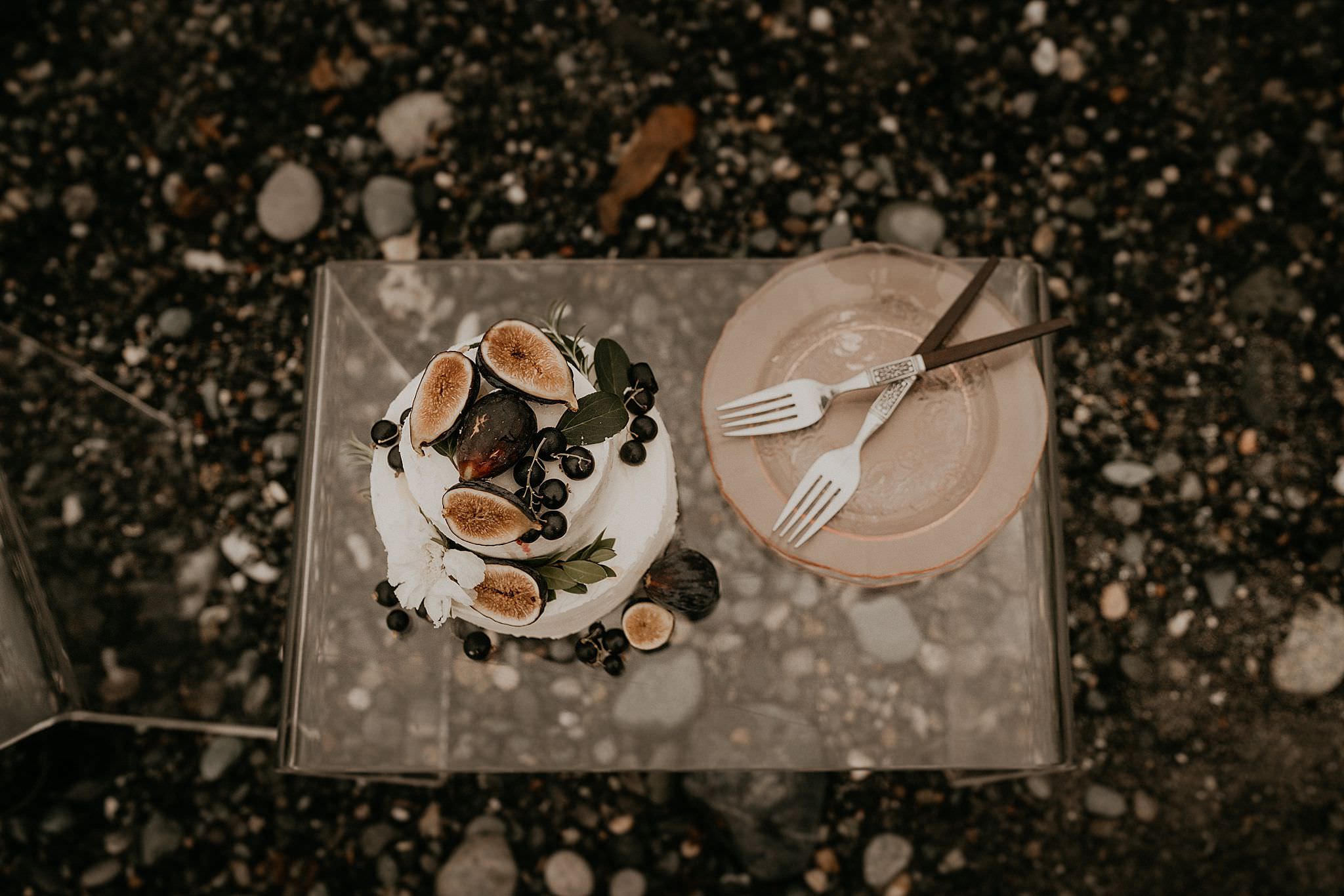 cute white boho wedding cake with fig for a PNW elopement on Whidbey island
