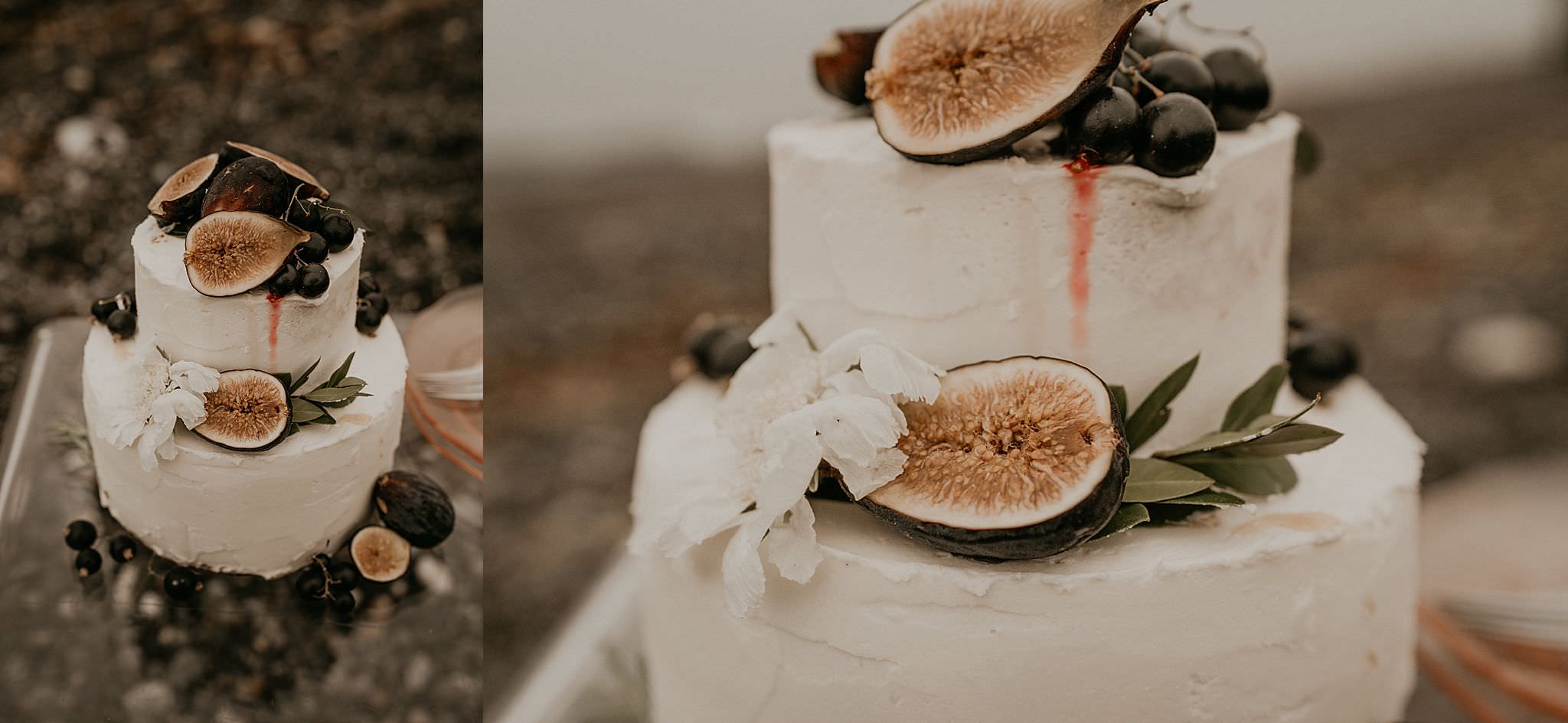 cute white boho wedding cake with fig for a PNW elopement on Whidbey island