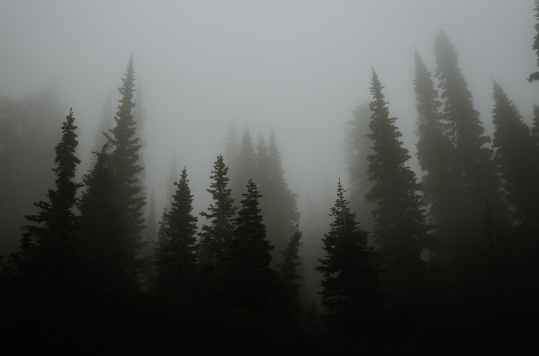 background.jpg