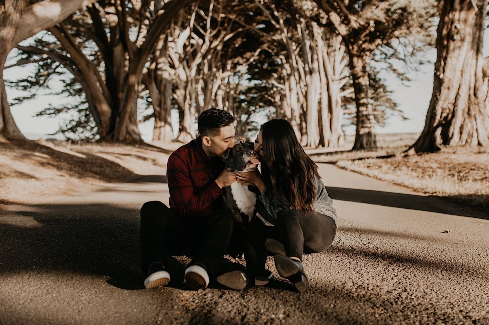 Cypress tree tunnel engagement session at Point Reyes national seashore