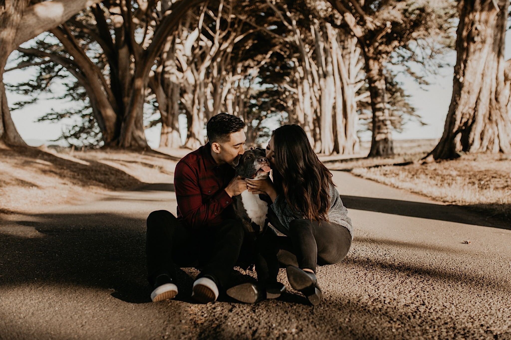 Cypress tree tunnel engagement session at Point Reyes national seashore