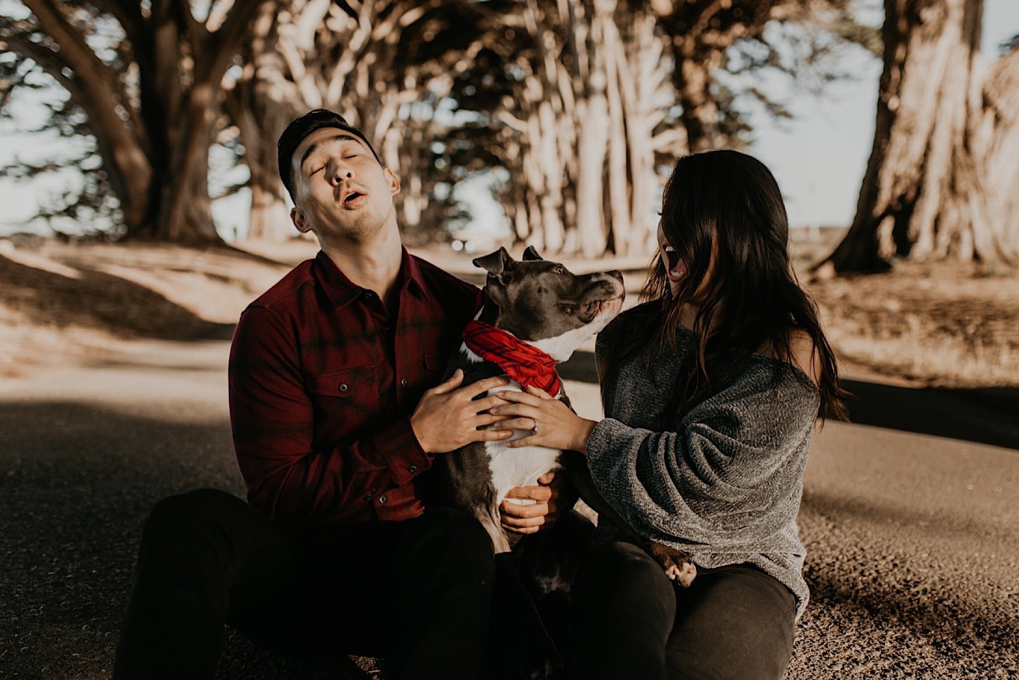 Cypress tree tunnel engagement session at Point Reyes national seashore