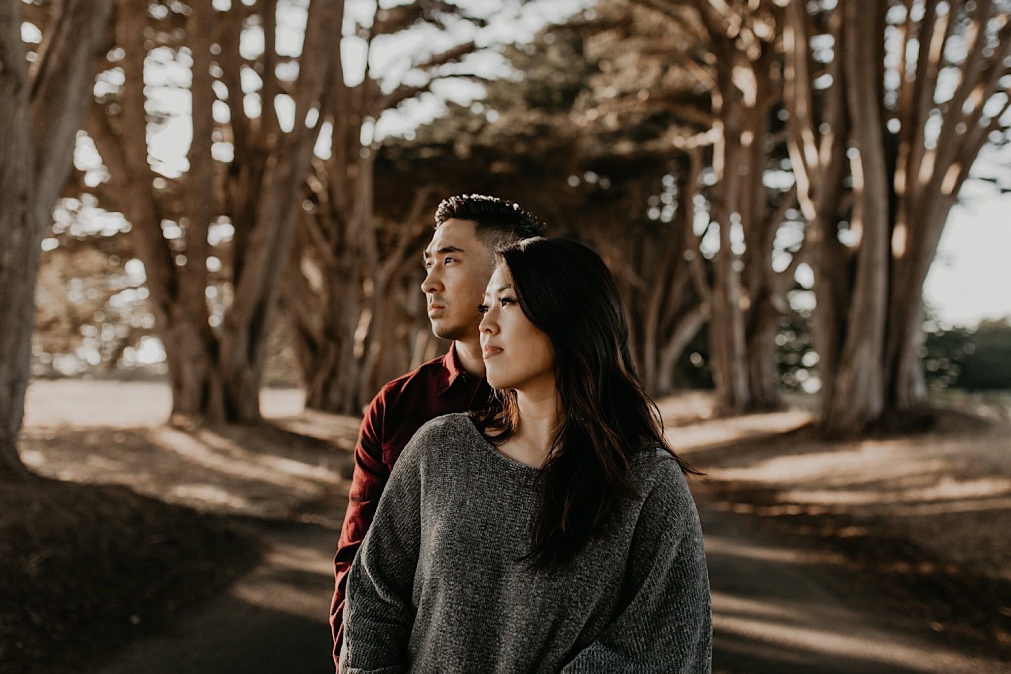 Cypress tree tunnel engagement session at Point Reyes national seashore