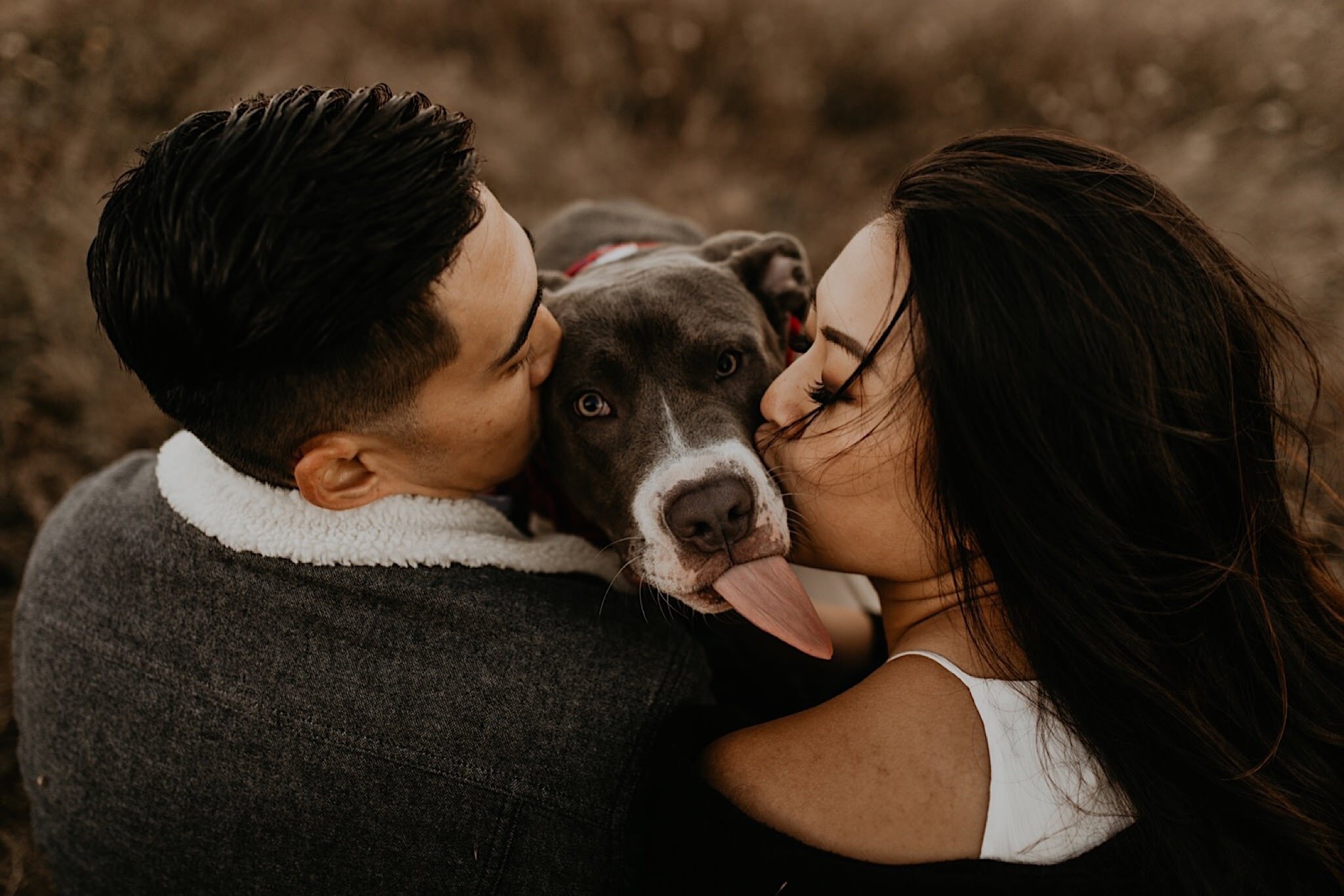 Romantic point Reyes engagement photos best location around bay area and san francisco