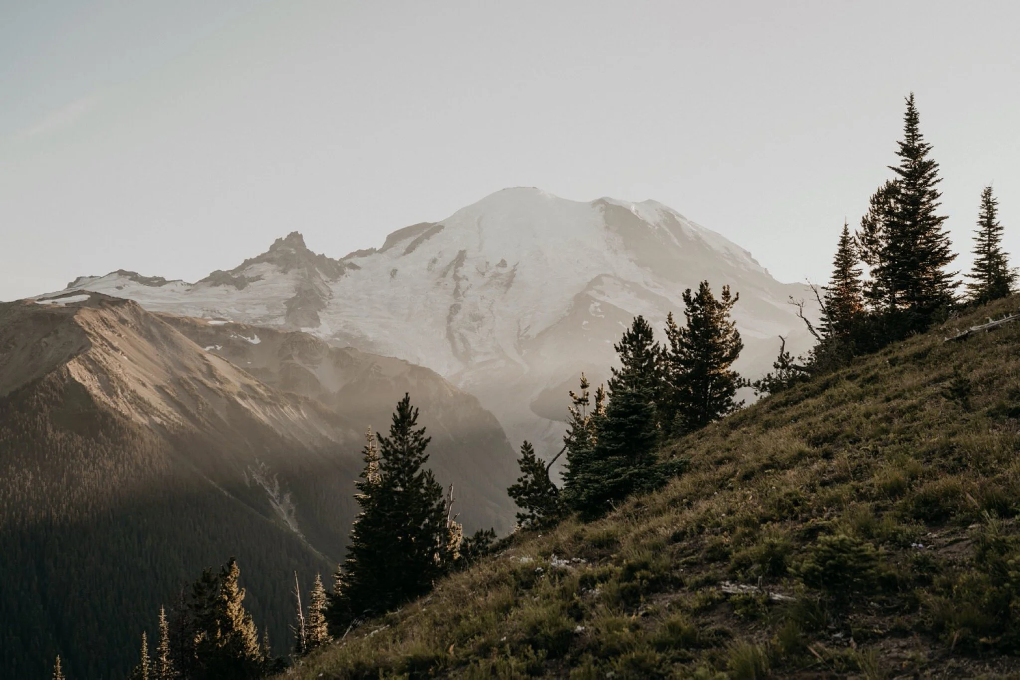 Mount Rainier Engagement Photos