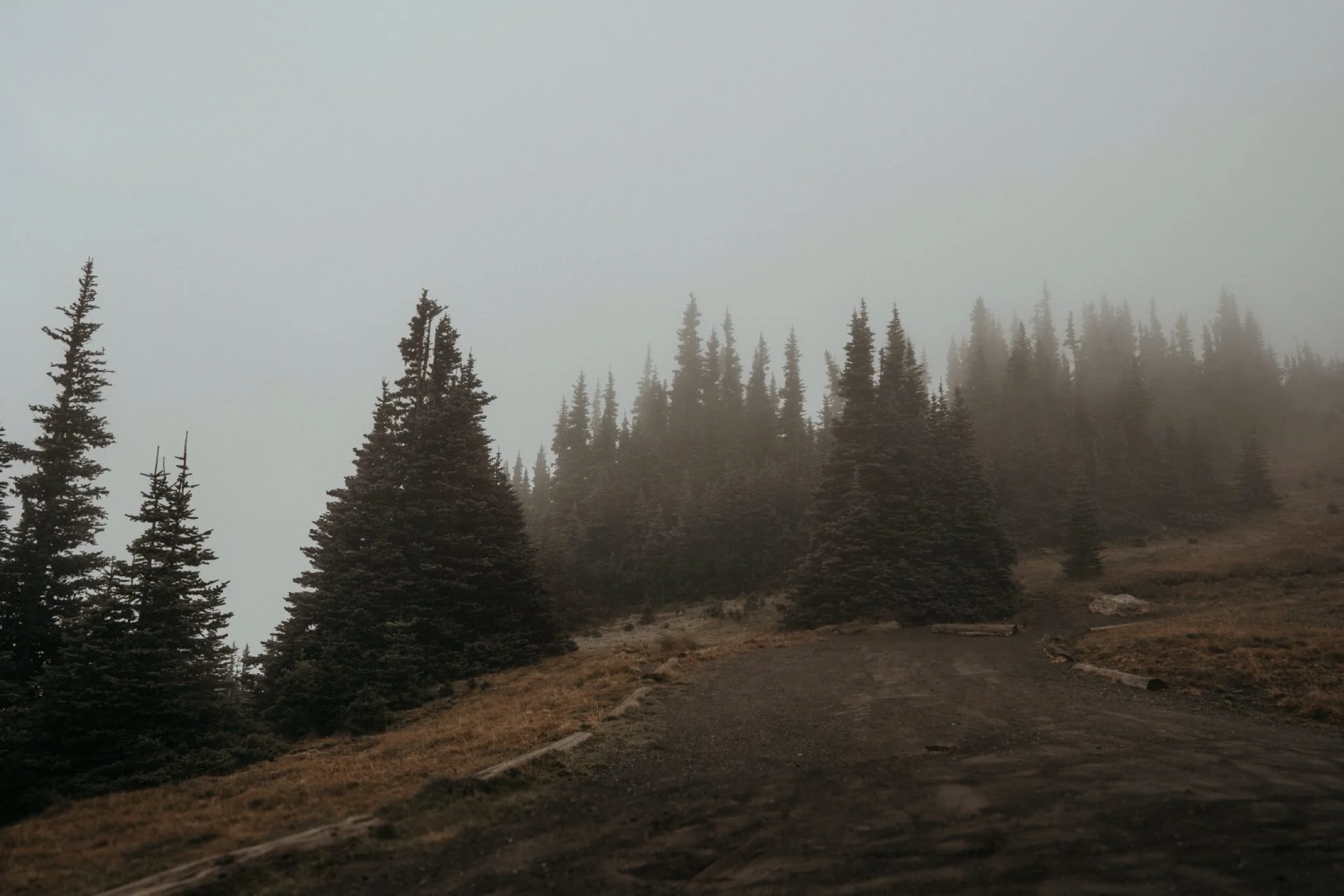 Olympic National Park Hurricane Ridge Engagement Photos