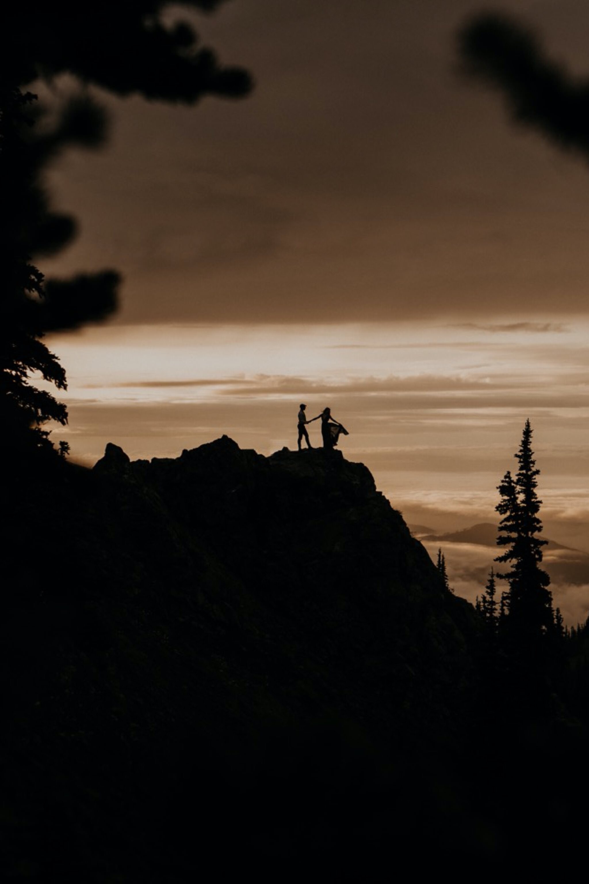 Olympic National Park Hurricane Ridge Engagement Photos