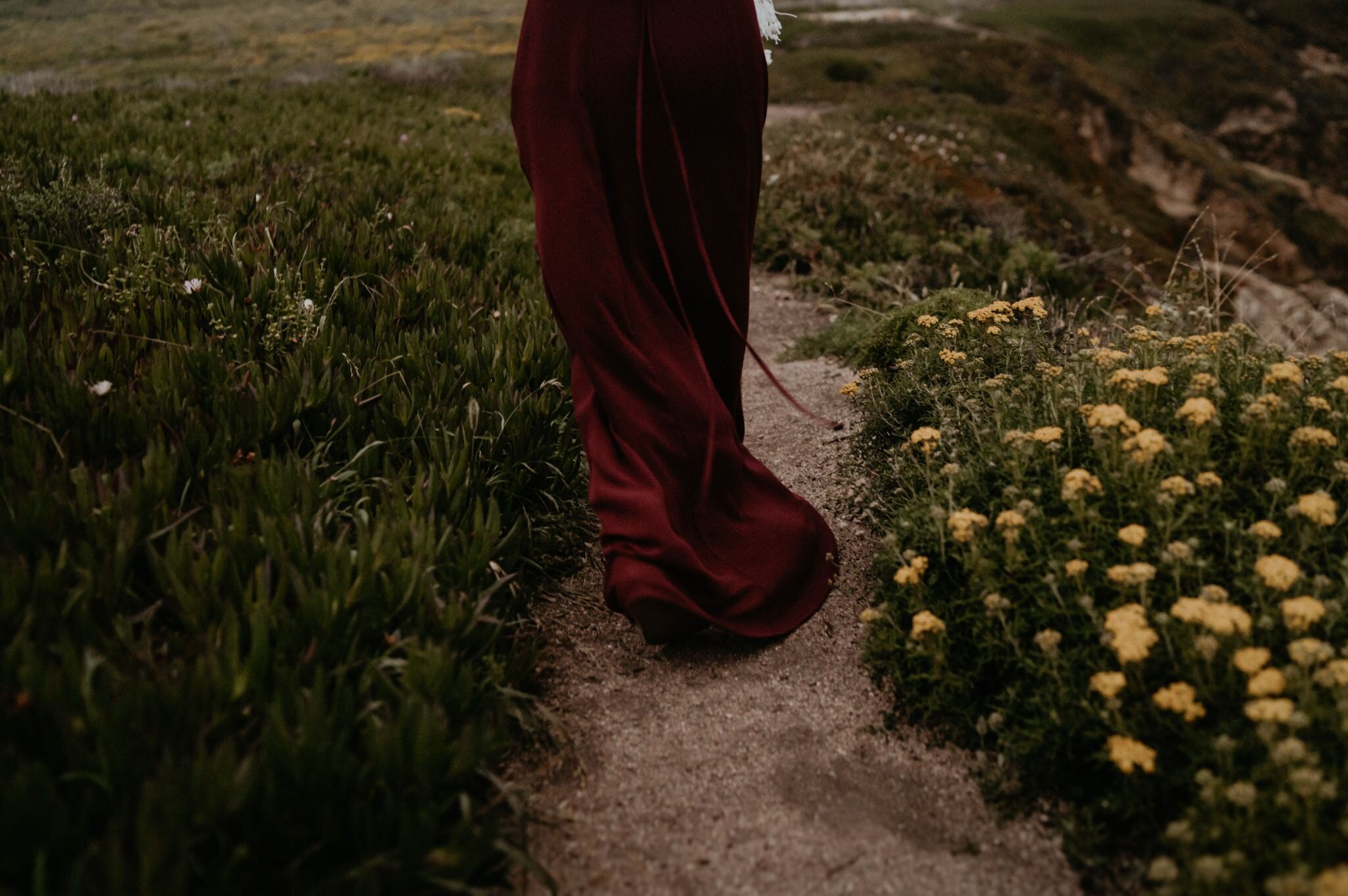 Big-Sur-Engagement-Elopement-Photographer-41.jpg