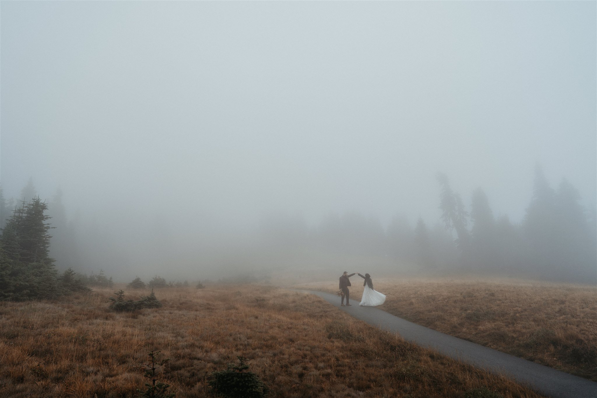 Hurricane Ridge Olympic National Park Intimate Wedding during COVID