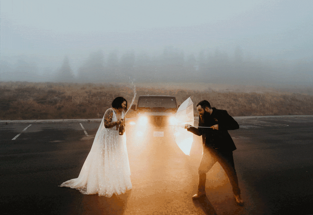 Foggy moody PNW elopement at Hurricane Ridge Olympic National Park