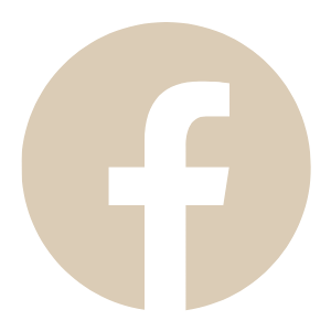 Facebook Business Logo