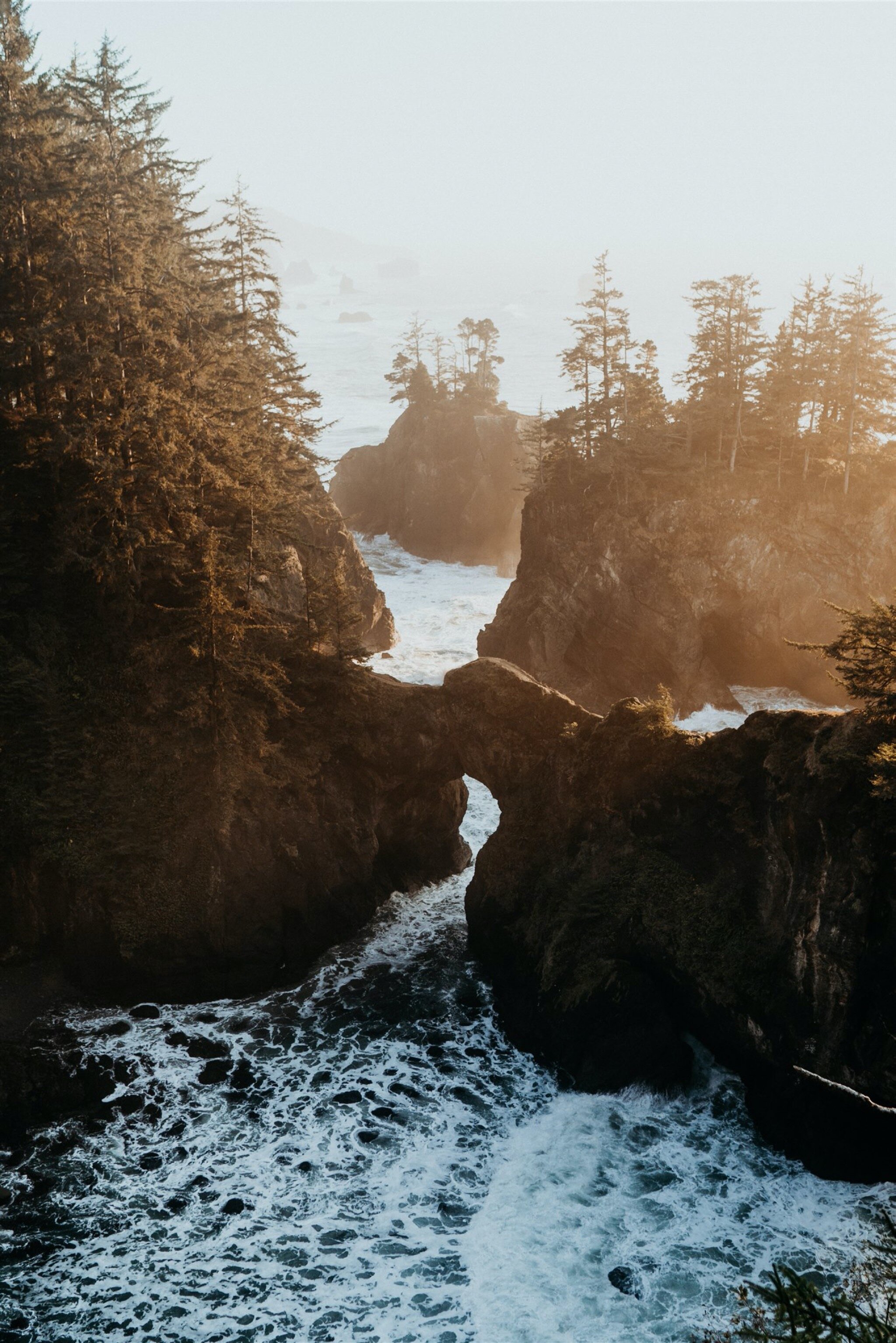 LGBTQ+ Coastal Adventure Elopement