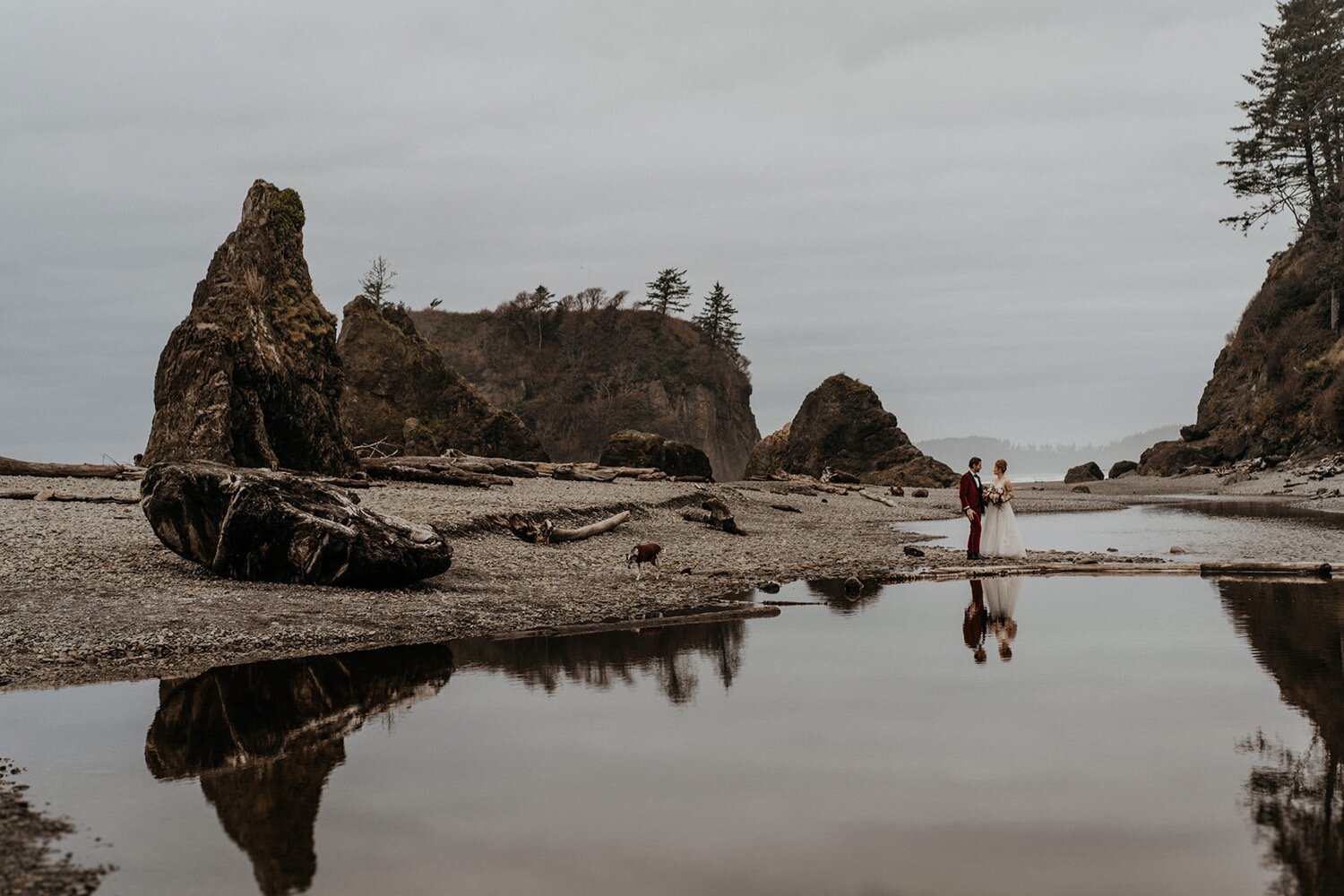 Olympic National Park Rainforest Elopement