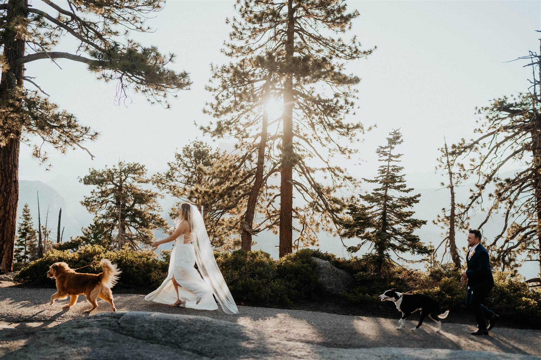 The-Sweetest-Yosemite-National-Park-Adventure-Elopement-With-Pets-28.jpg