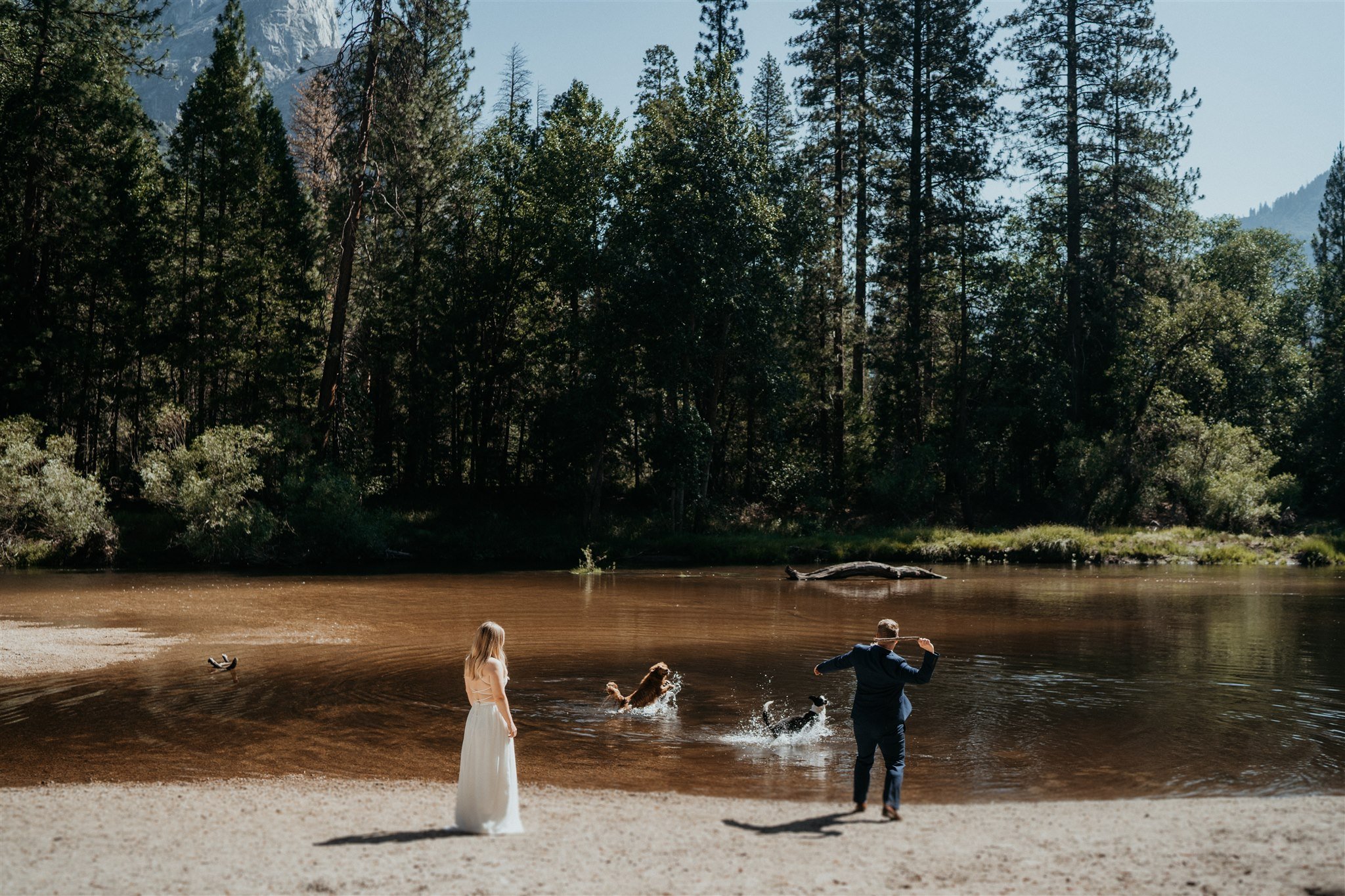 The-Sweetest-Yosemite-National-Park-Adventure-Elopement-With-Pets-46.jpg