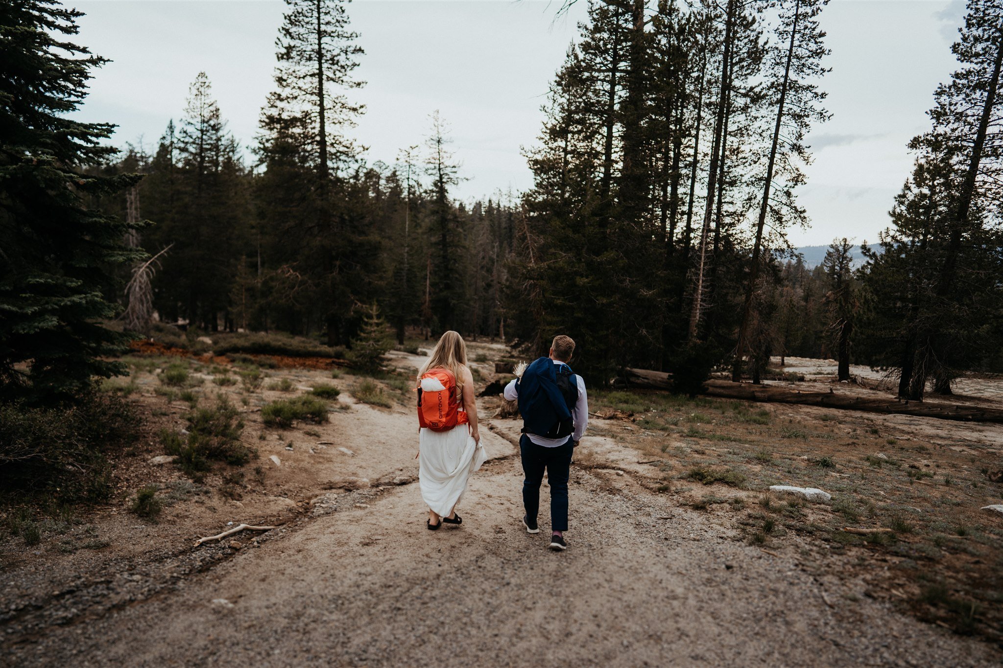 The-Sweetest-Yosemite-National-Park-Adventure-Elopement-With-Pets-58.jpg