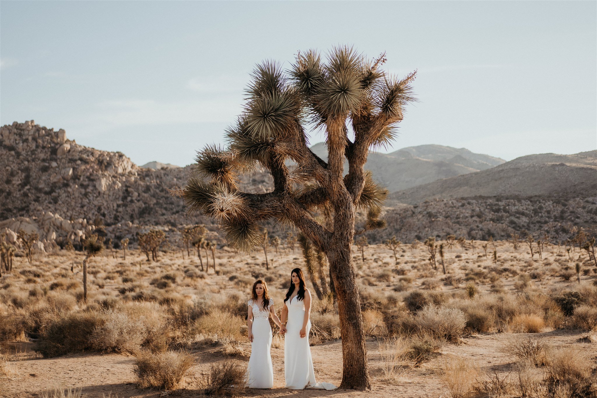 Desert Elopement