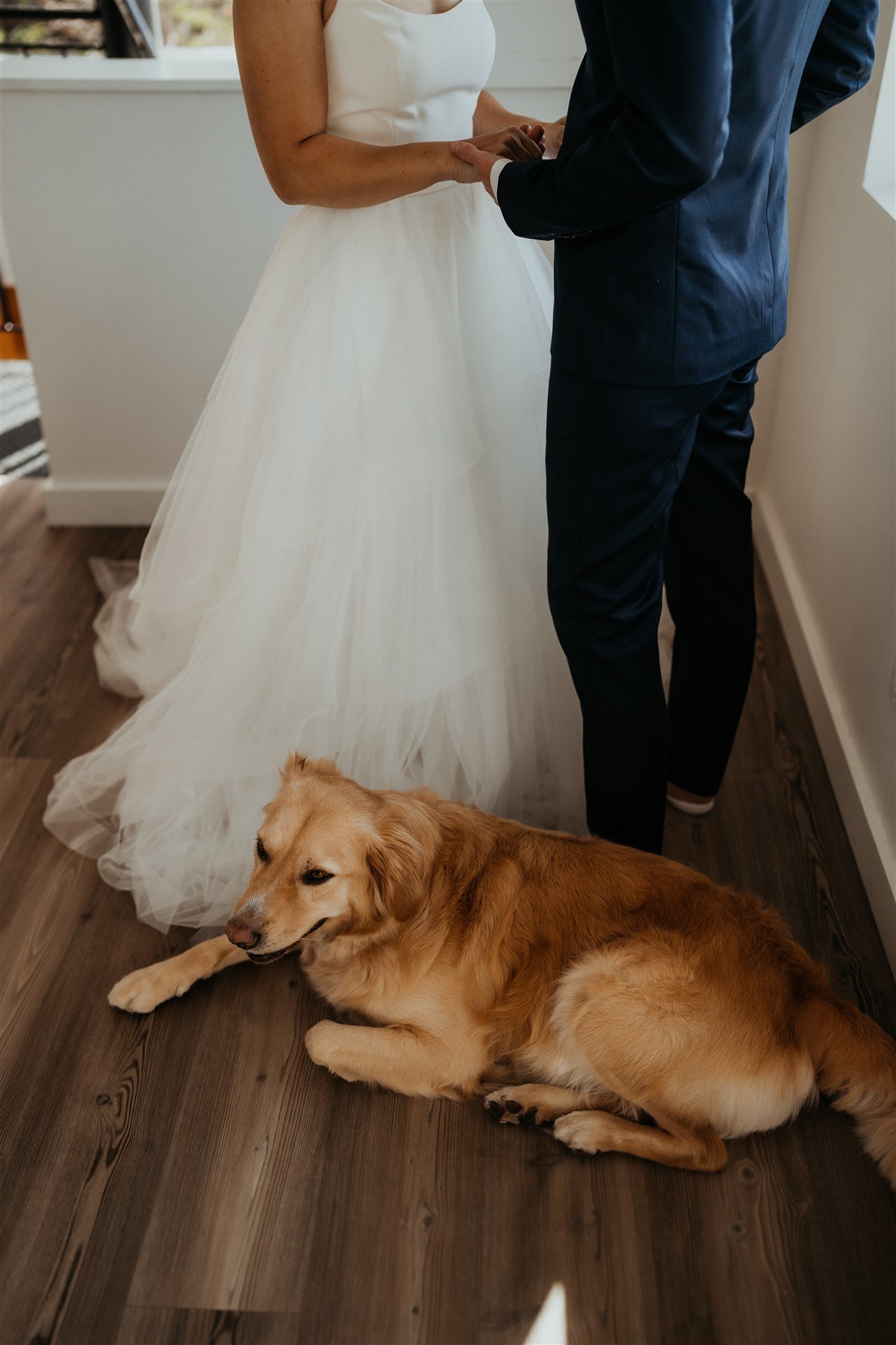 Two brides with dog laying at their feet