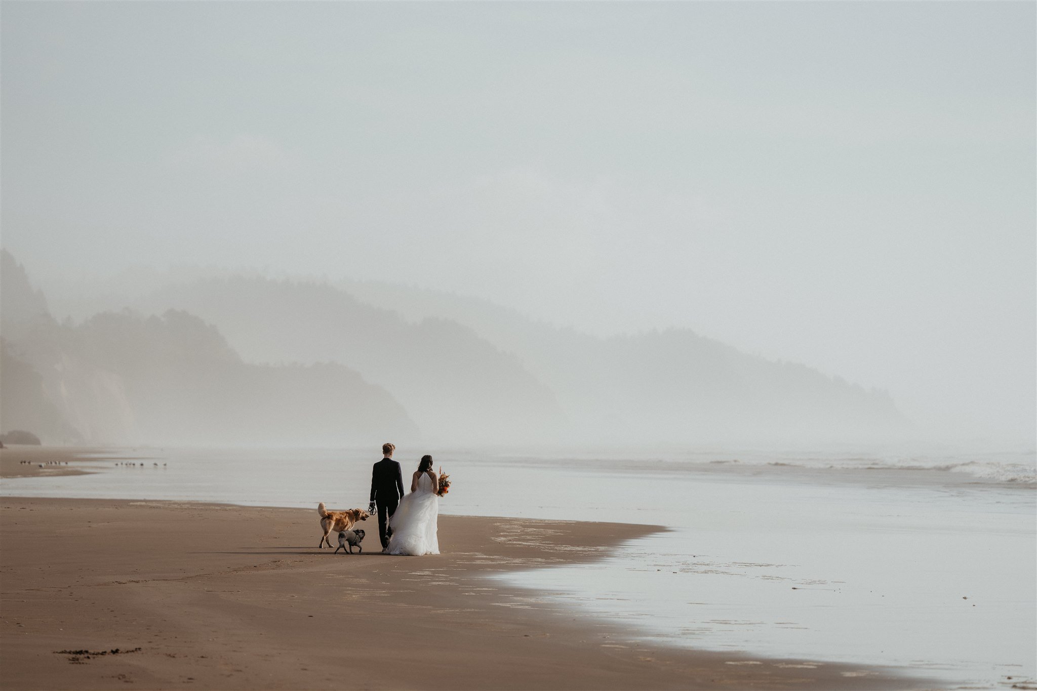 Two brides and dogs walking down the beach for their Oregon Coast elopement