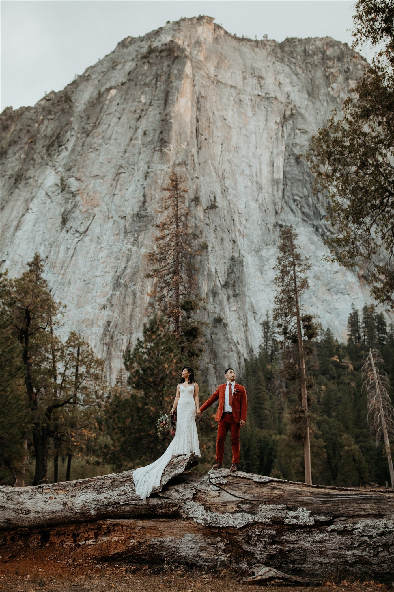 Bride and groom standing on a log in El Capitan Meadow at Yosemite elopement