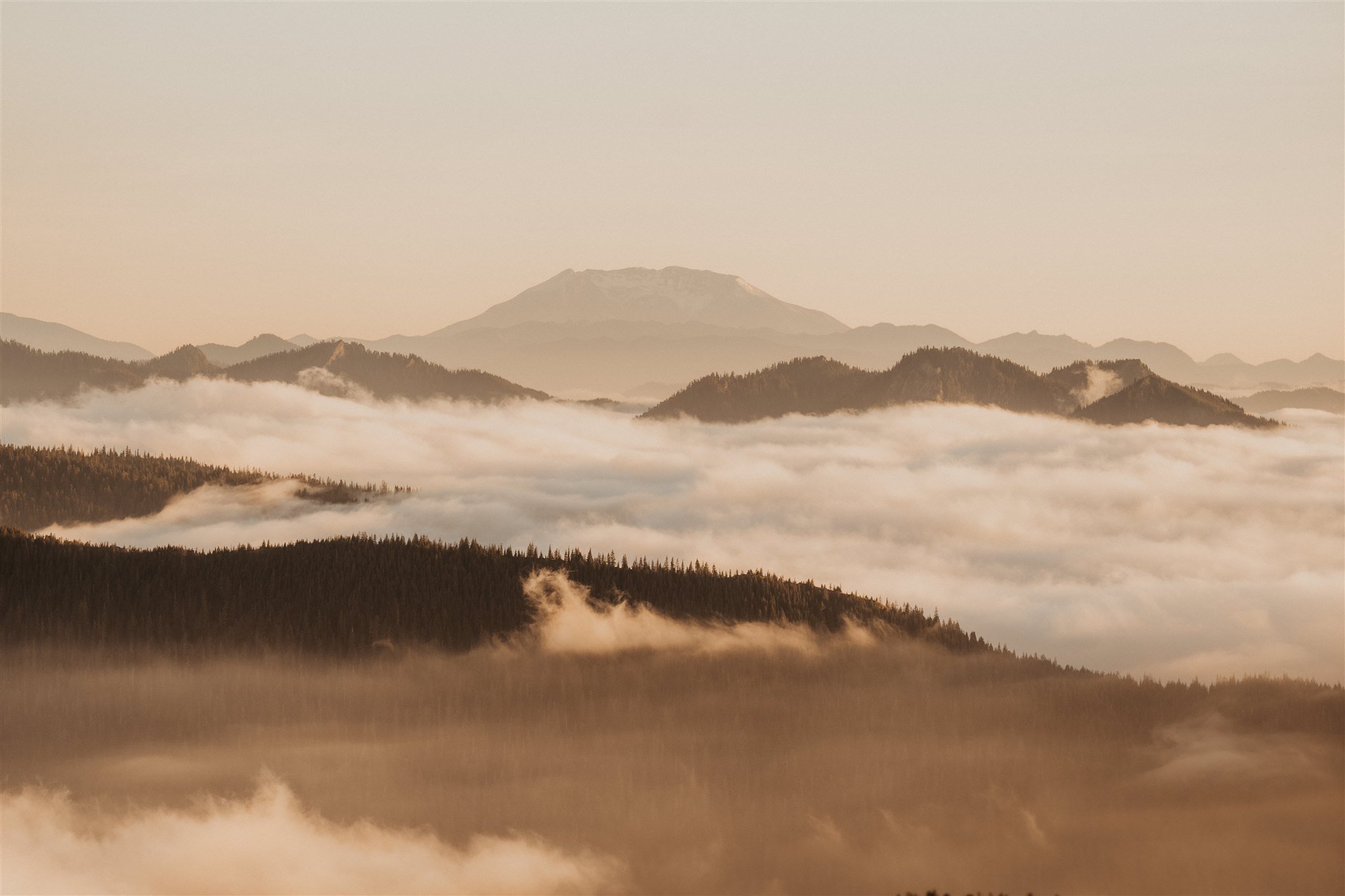 Clouds rolling over the mountain in Mt Rainier National Park