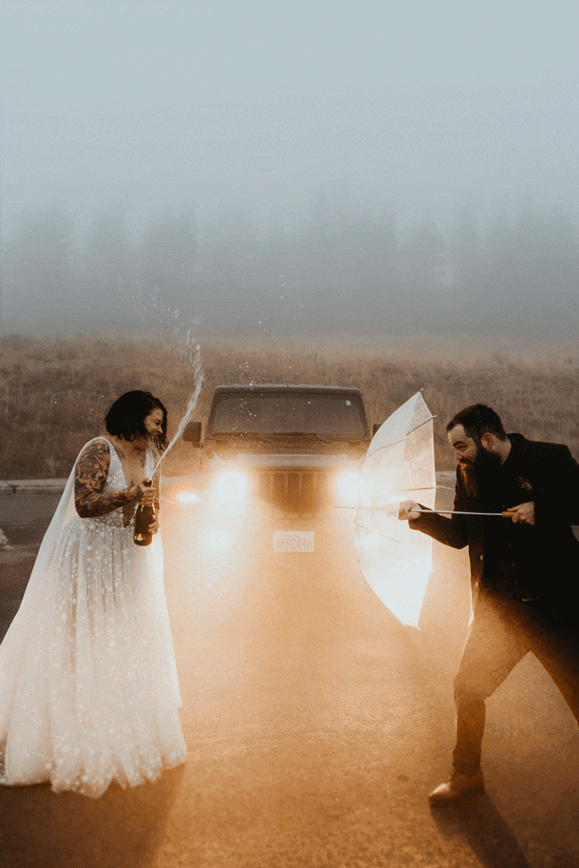 olympic-national-park-foggy-elopement.gif