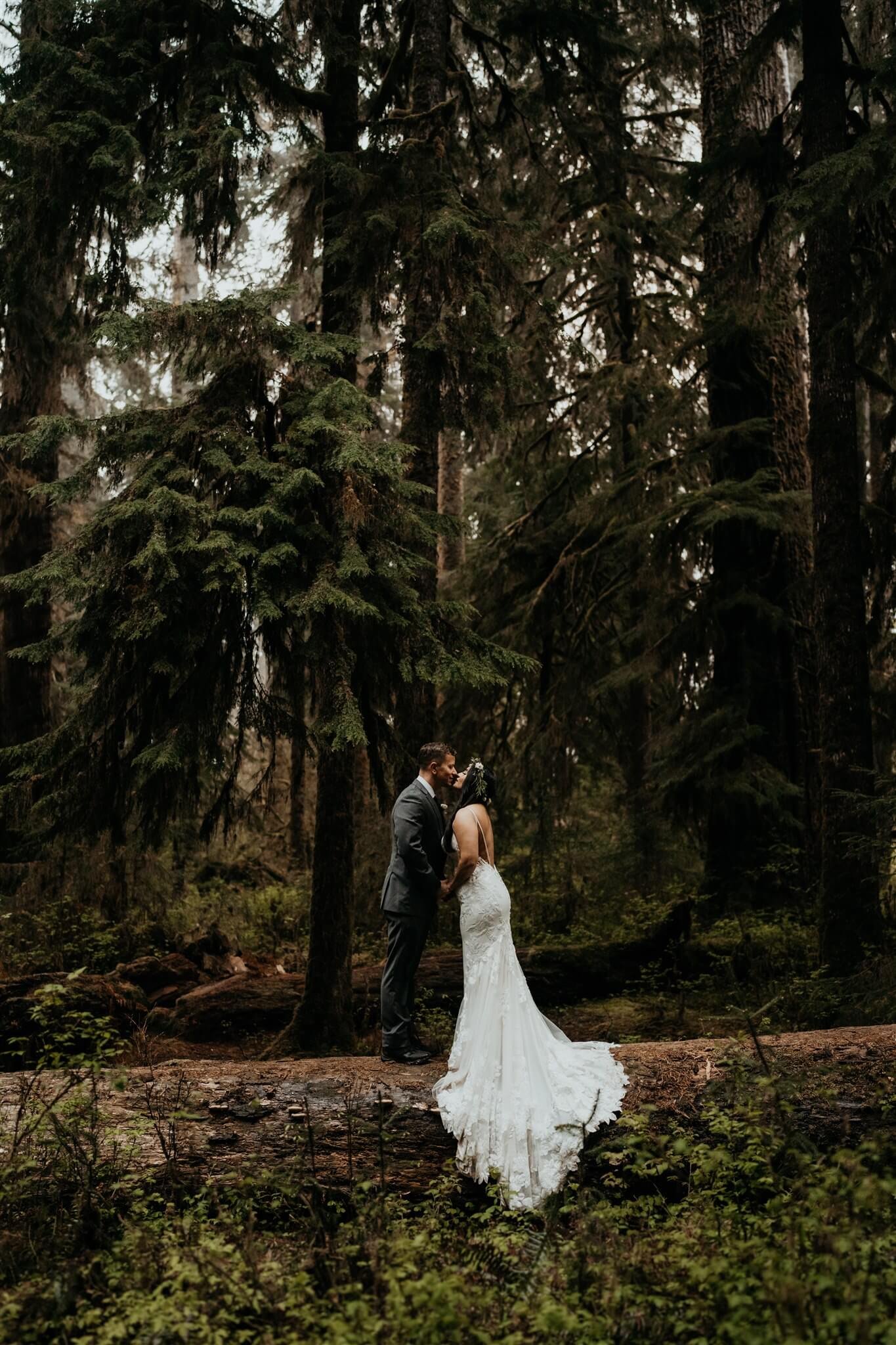 Wedding portraits in the Hoh Rainforest