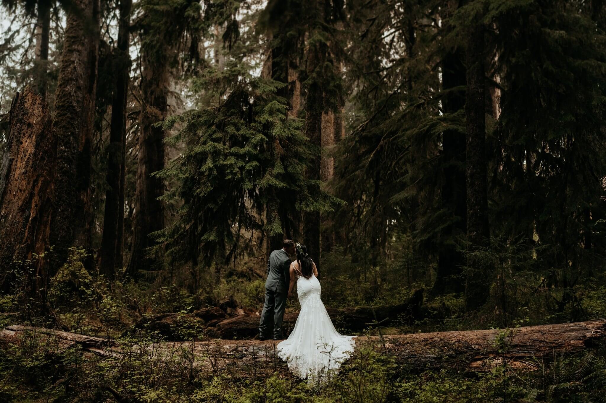 Wedding portraits in the Hoh Rainforest