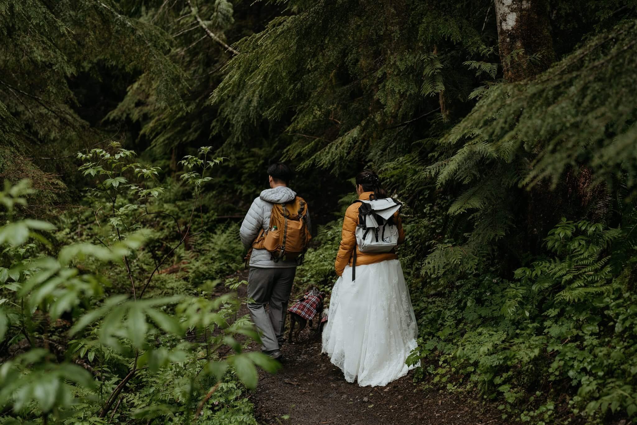Bride and groom hiking through the forest to get to elopement ceremony location