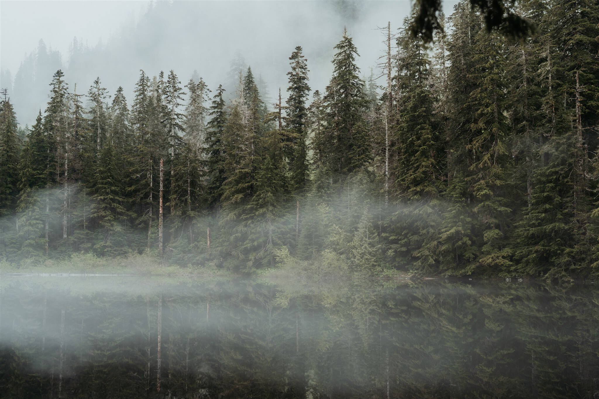 Fog rolling over Barclay Lake