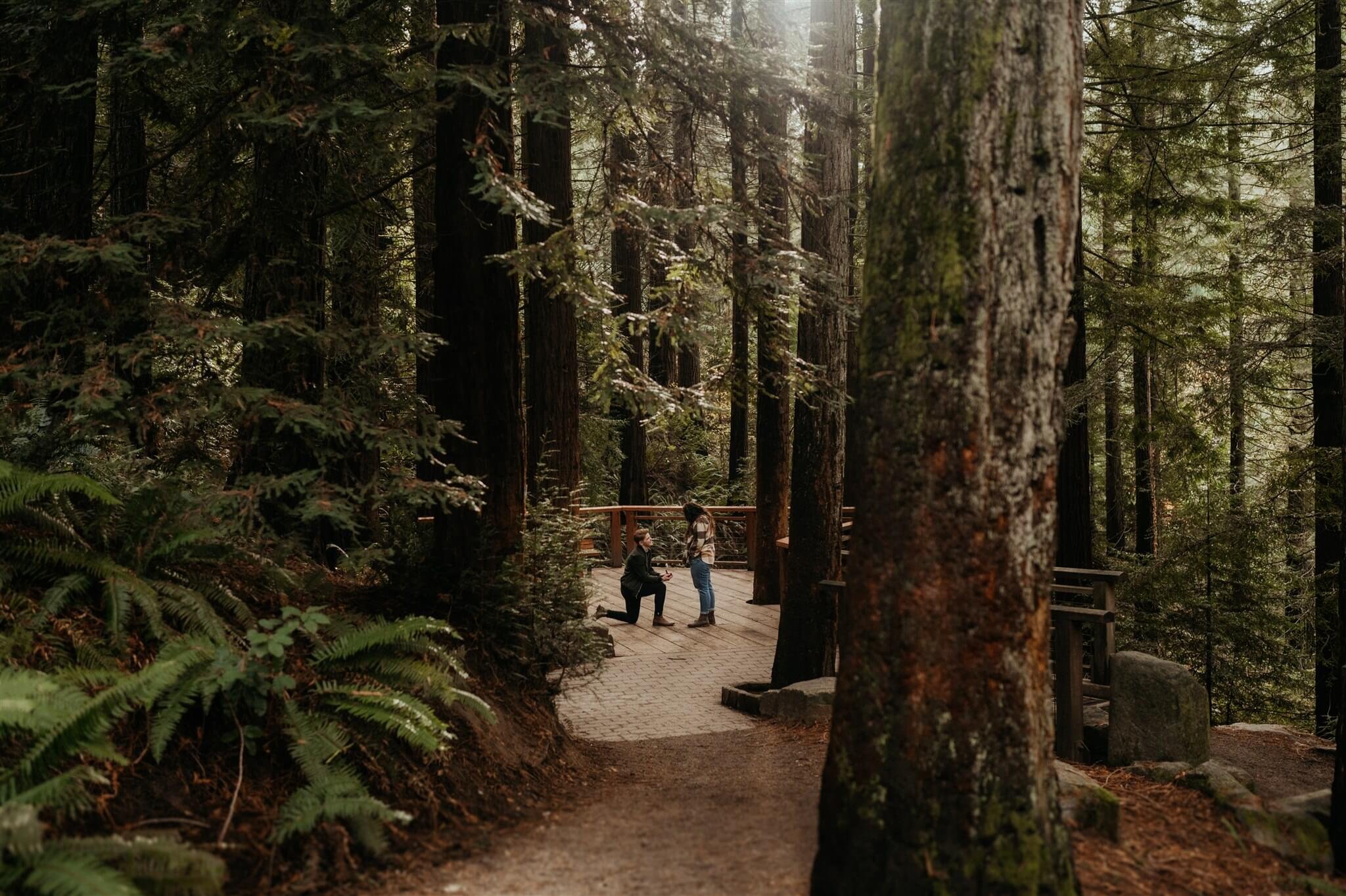 Surprise proposal in the forest in Portland, Oregon