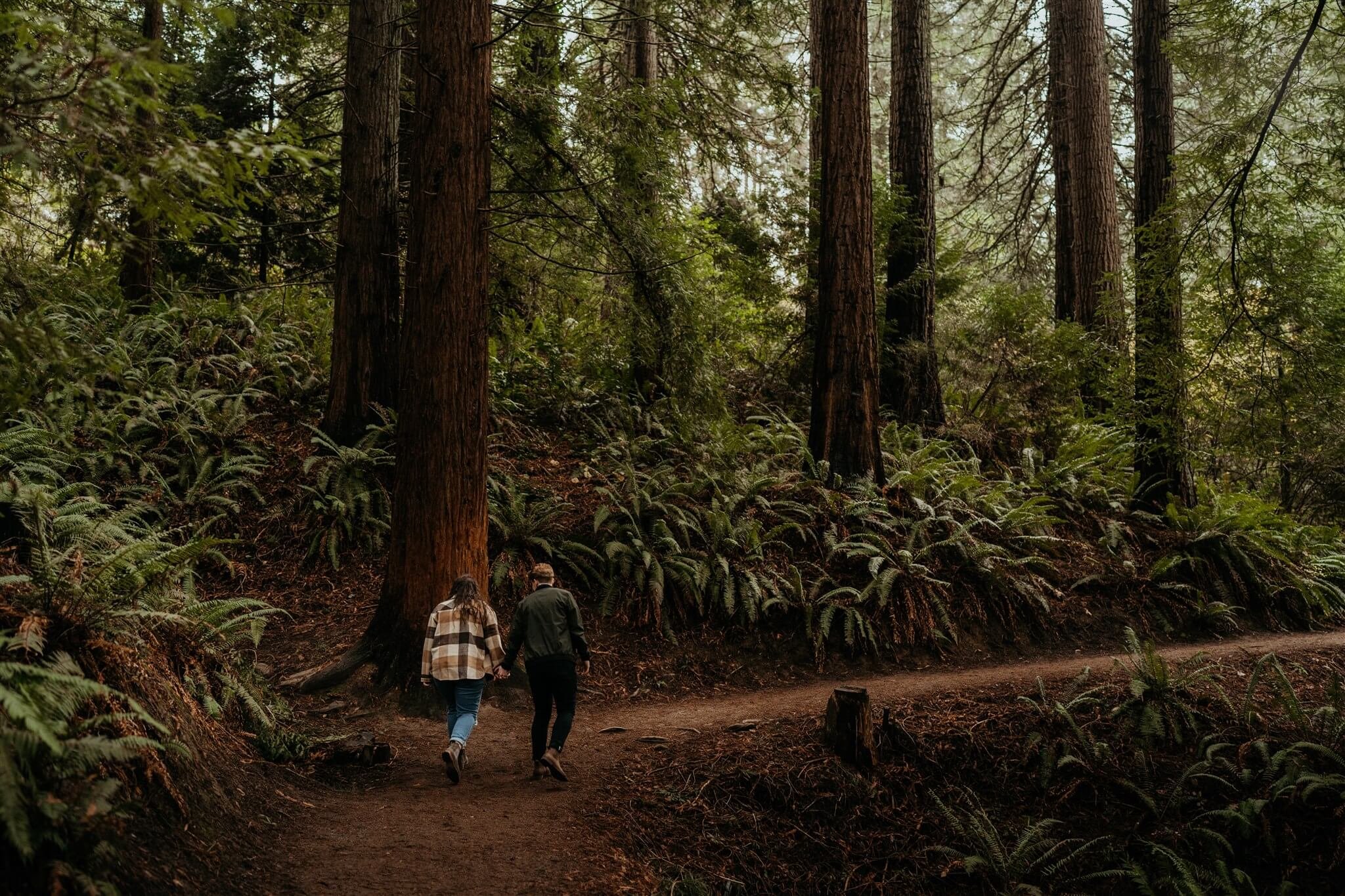 Couple holding hands, walking through the forest in Portland