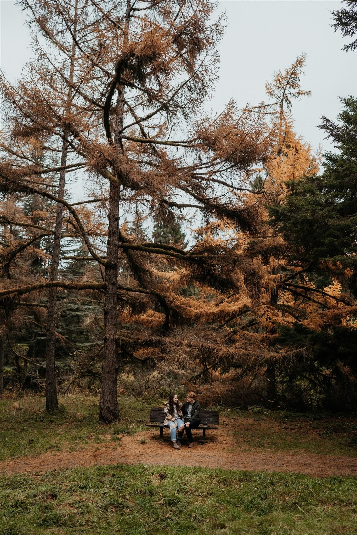 Couple sitting on a bench during Portland engagement photos