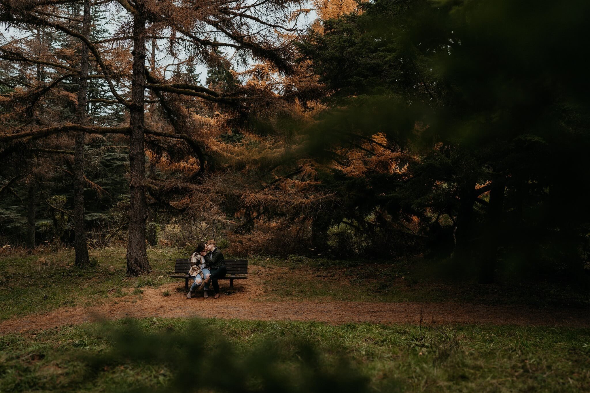 Couple kissing on a bench in the forest