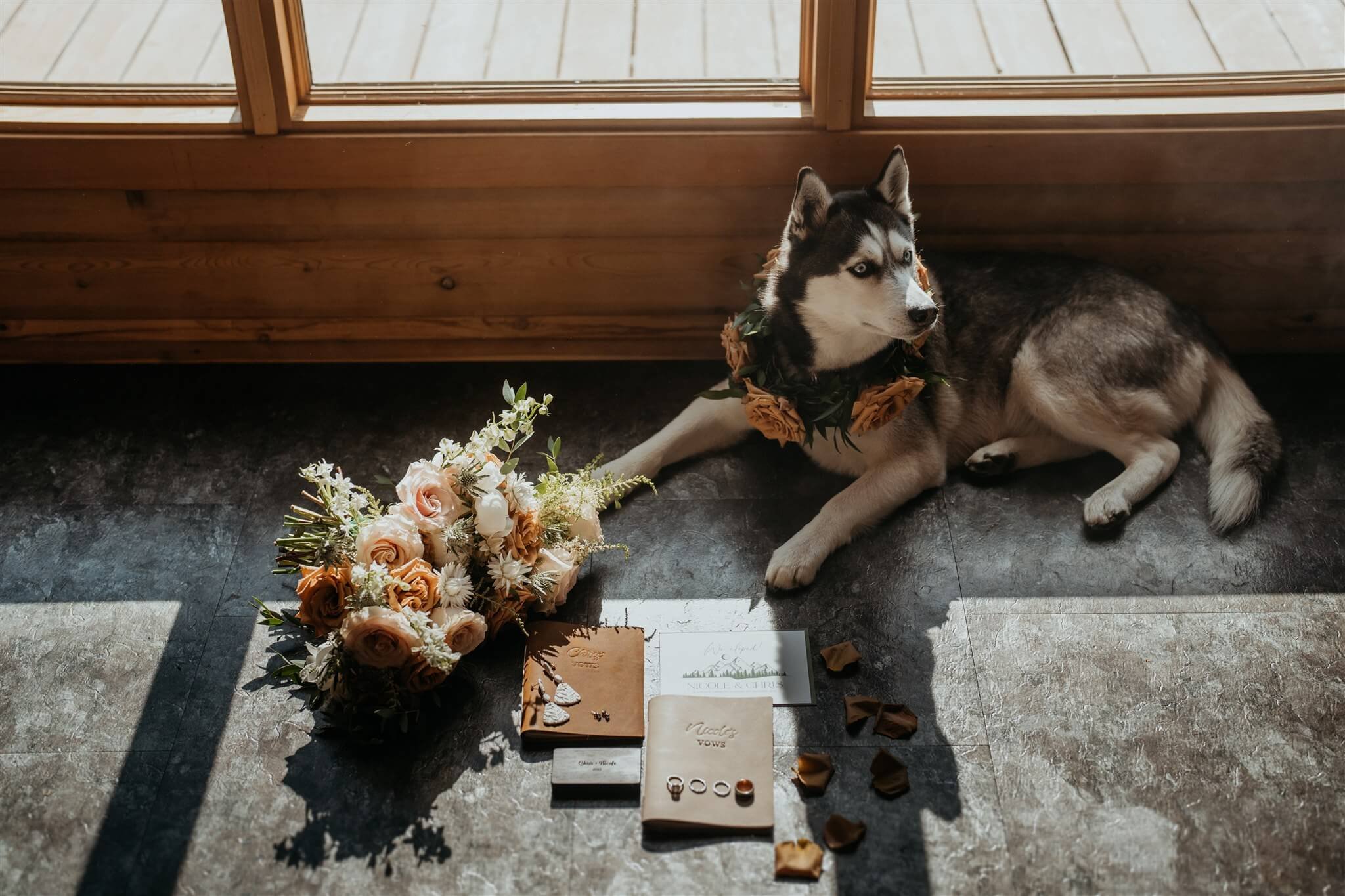 Husky dog laying on the floor next to Alaska elopement details