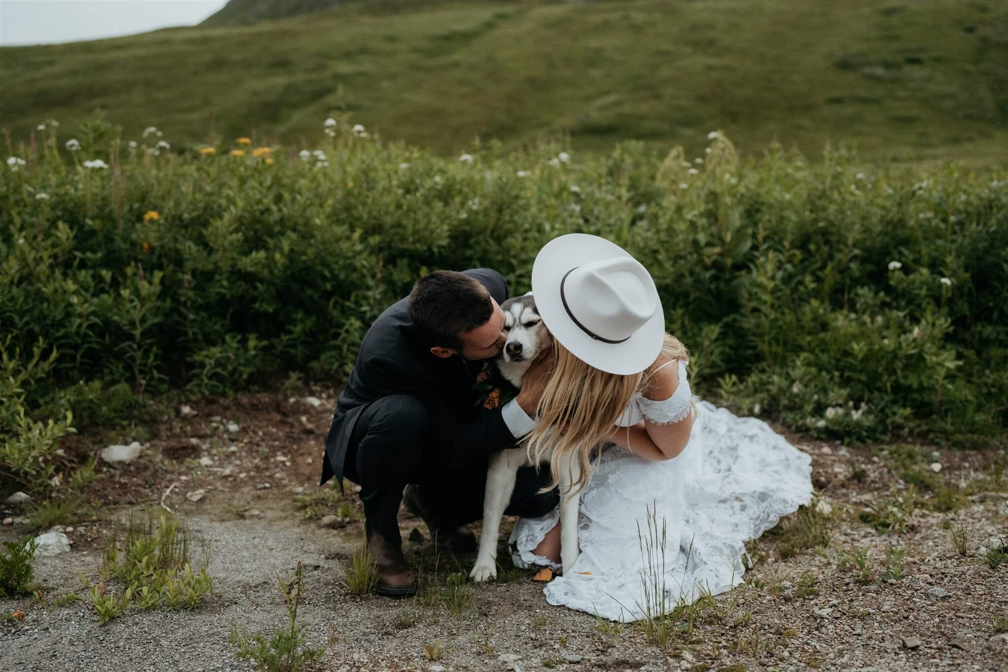 Bride and groom kiss black and white husky after helicopter elopement in Alaska