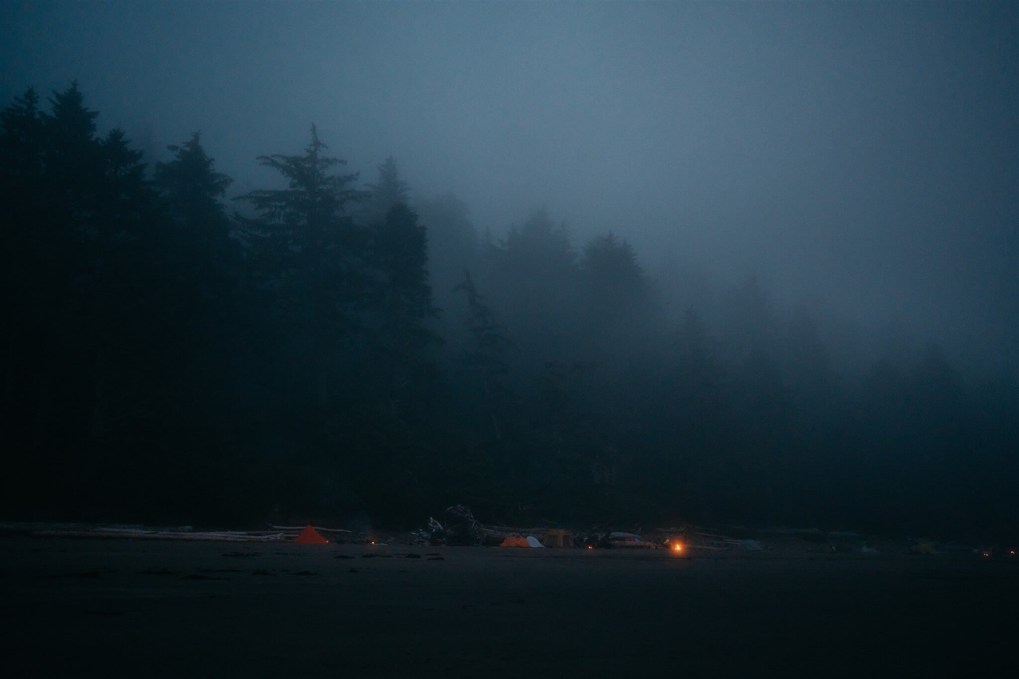 Moody elopement with family at La Push Beach