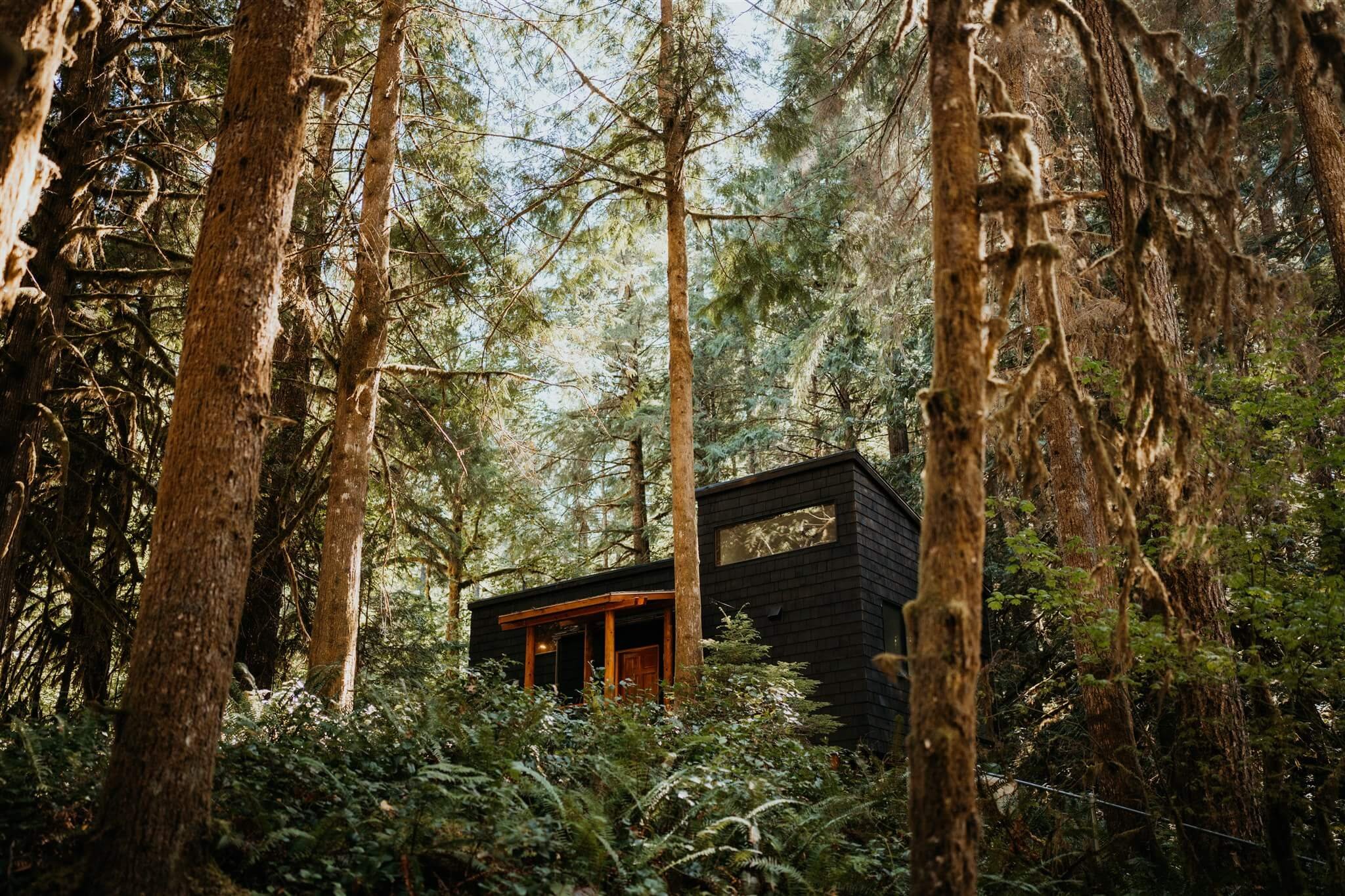 Hygge House mountain elopement cabin in the forest