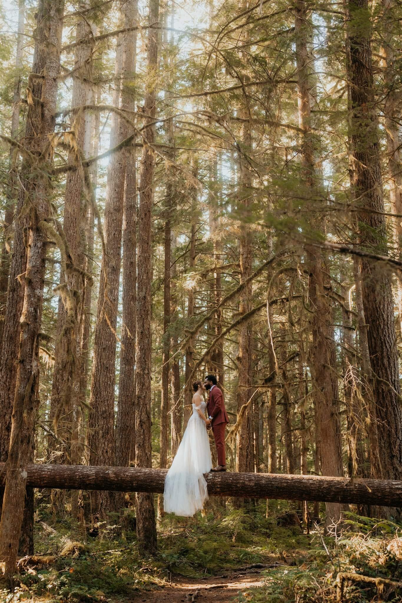 Bride and groom portrait photos in the woods at North Cascades National Park