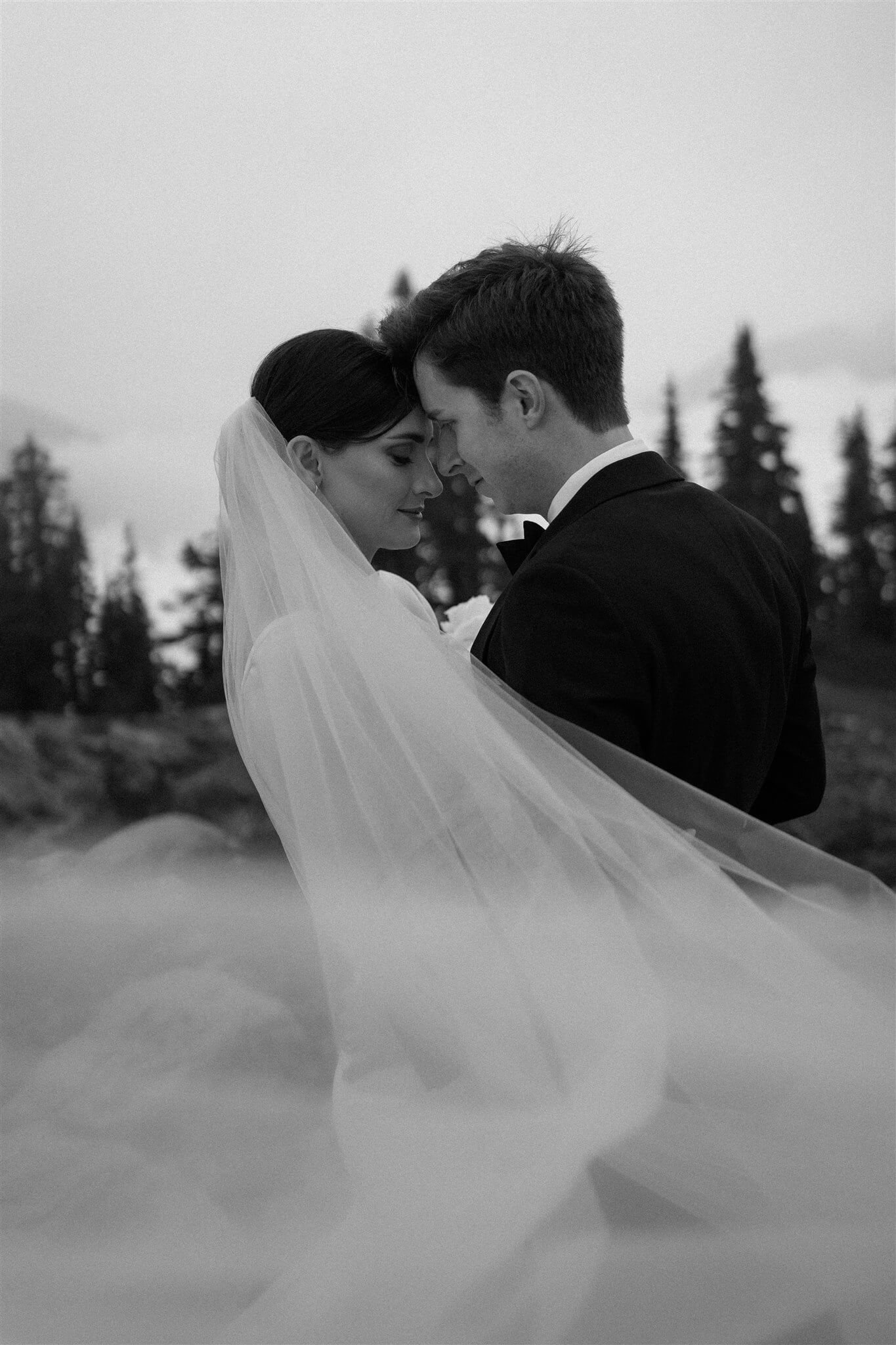 Couple photos in the North Cascades after foggy Artist Point elopement