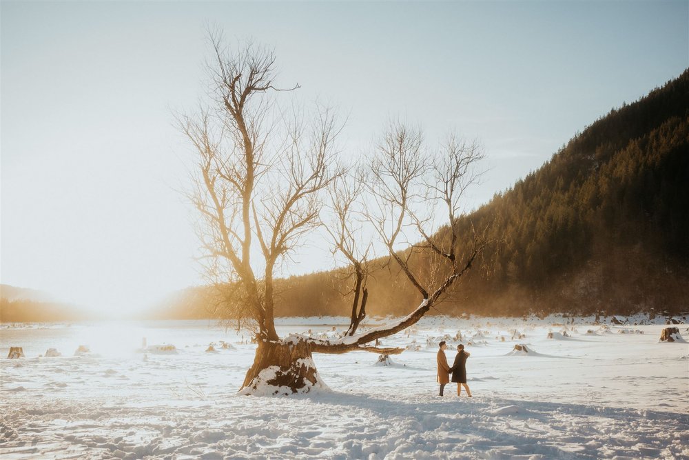 Couple standing next to a large tree in the snow in Snoqualmie Valley